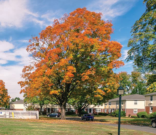 Glastonbury Centre Image 8