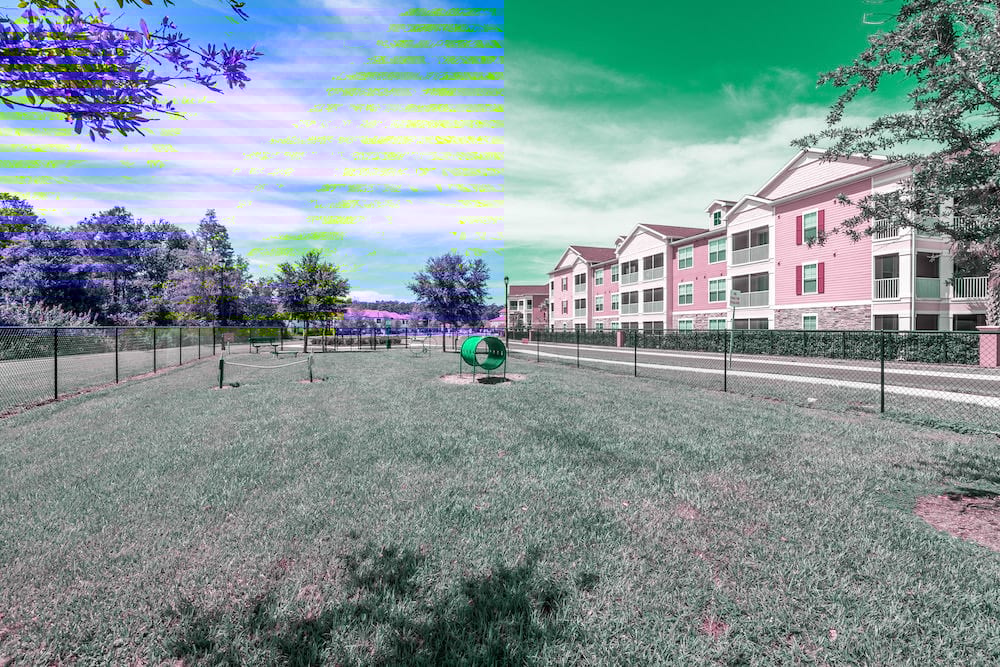 Cortland Jubilee Park Image 26