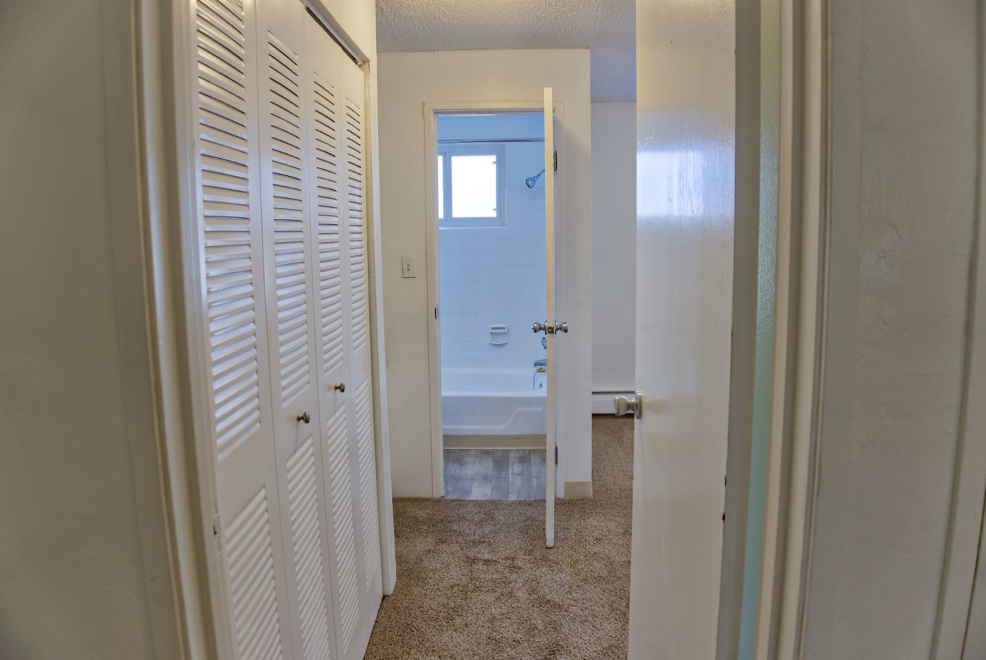 Golden Nugget Image 9