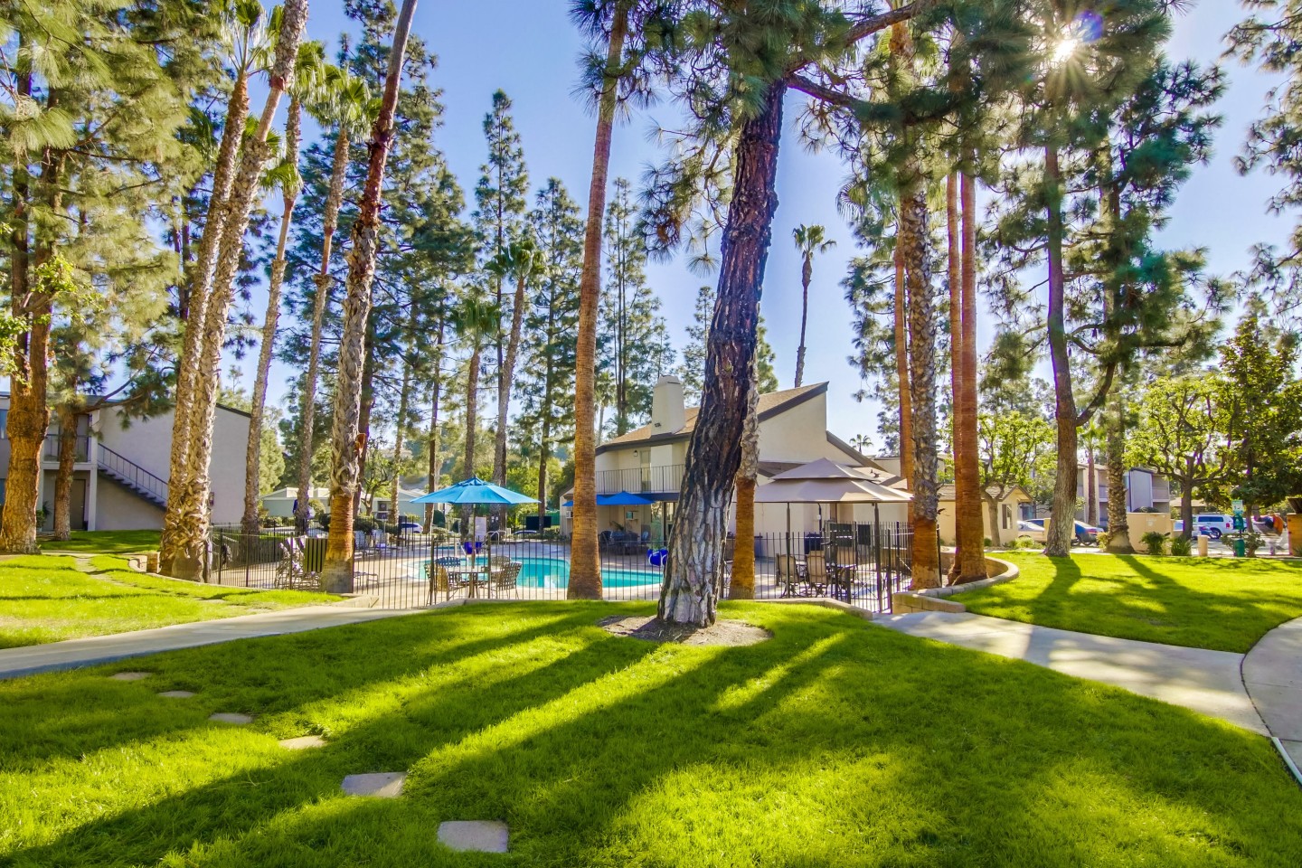 Shasta Lane Image 17