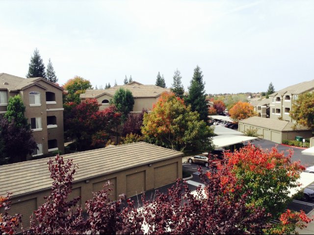 Pinnacle at Galleria Luxury Apartments Image 9