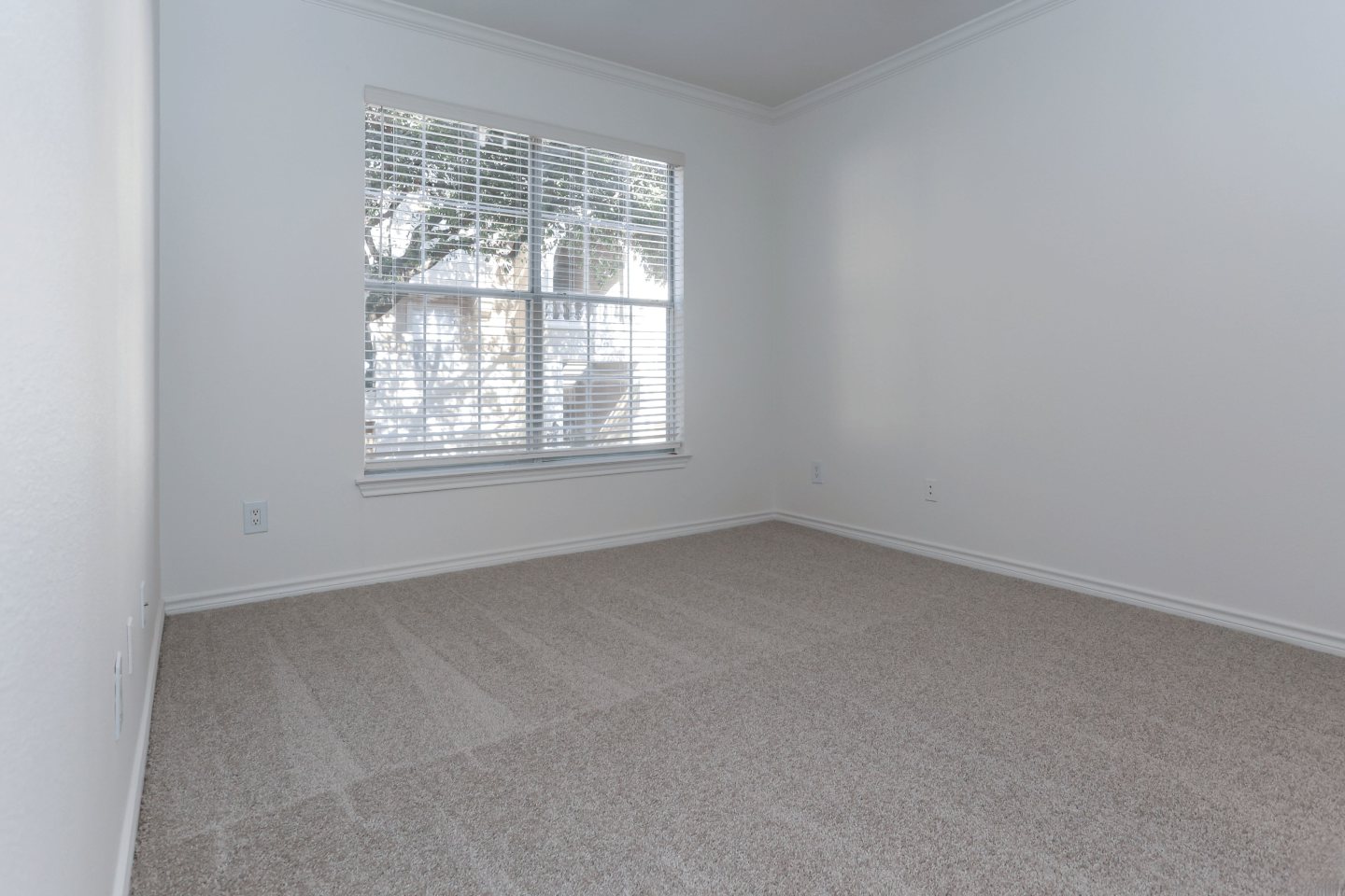 St. Moritz Apartments Image 16