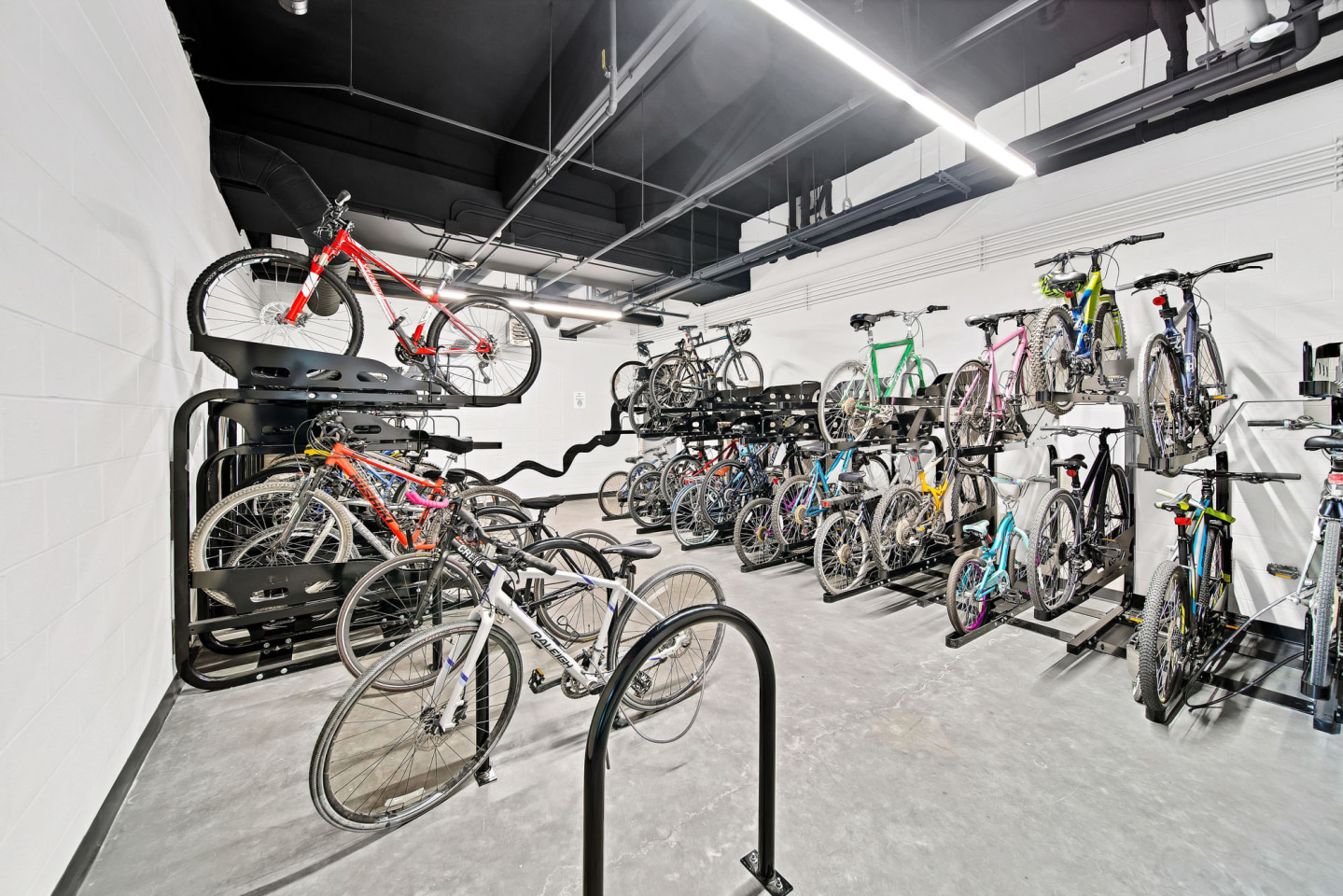 The Fynn Image 57