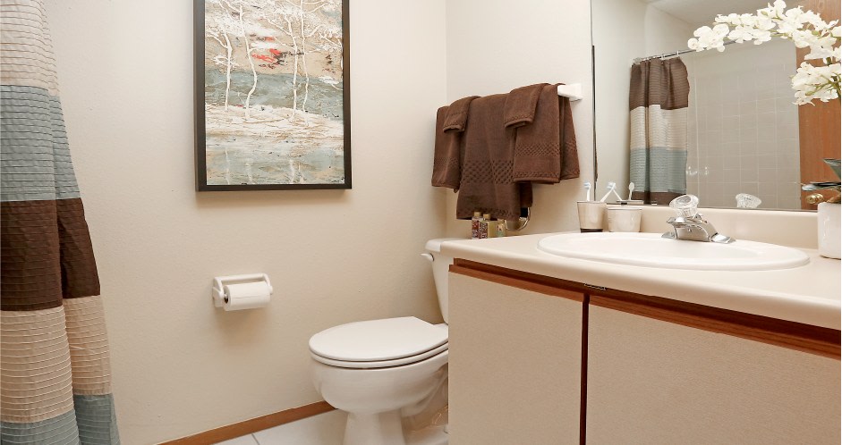 Lionshead Apartments Image 20