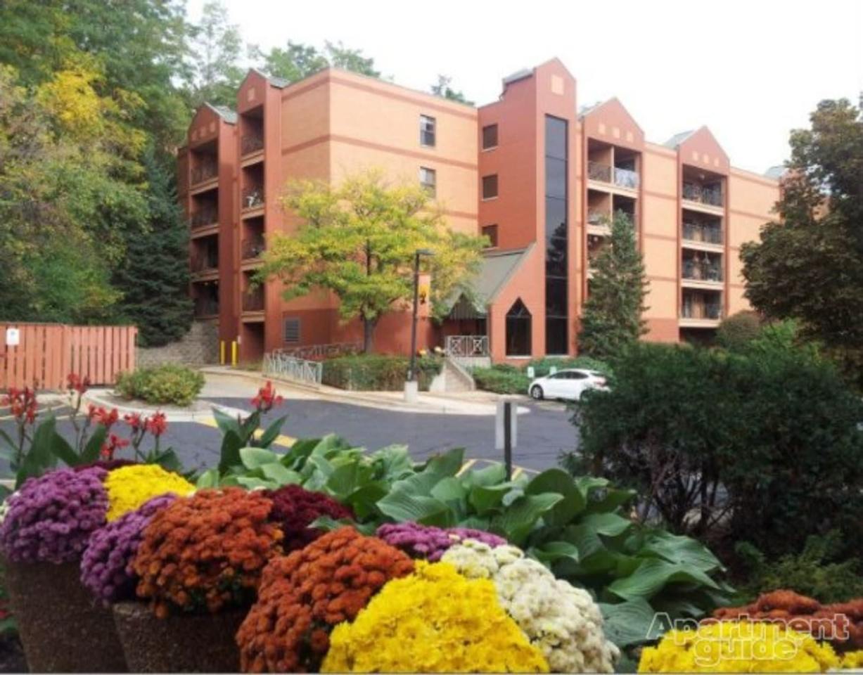 Mountain Village Apartments Image 1