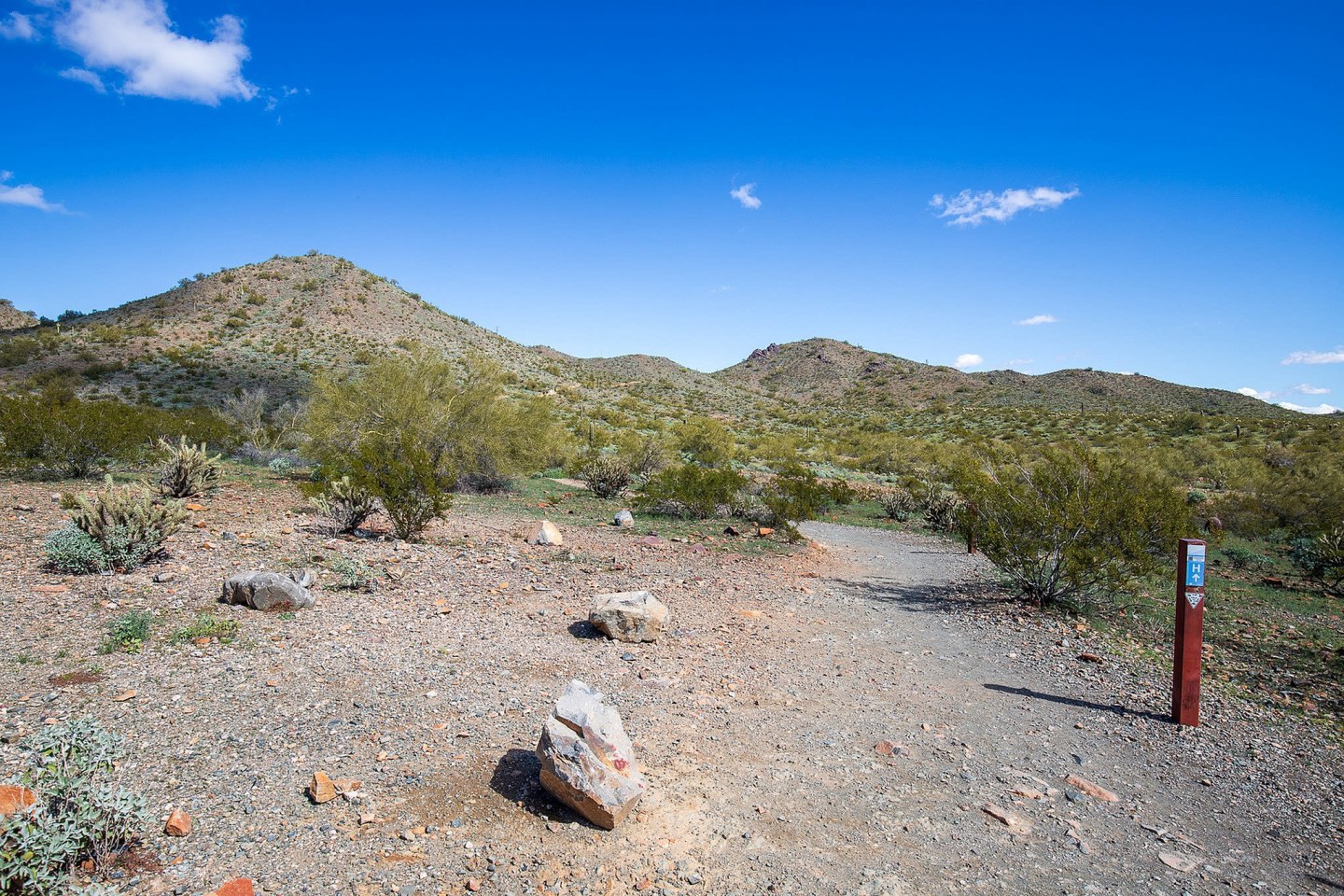 Meritum Sonoran Desert Image 11