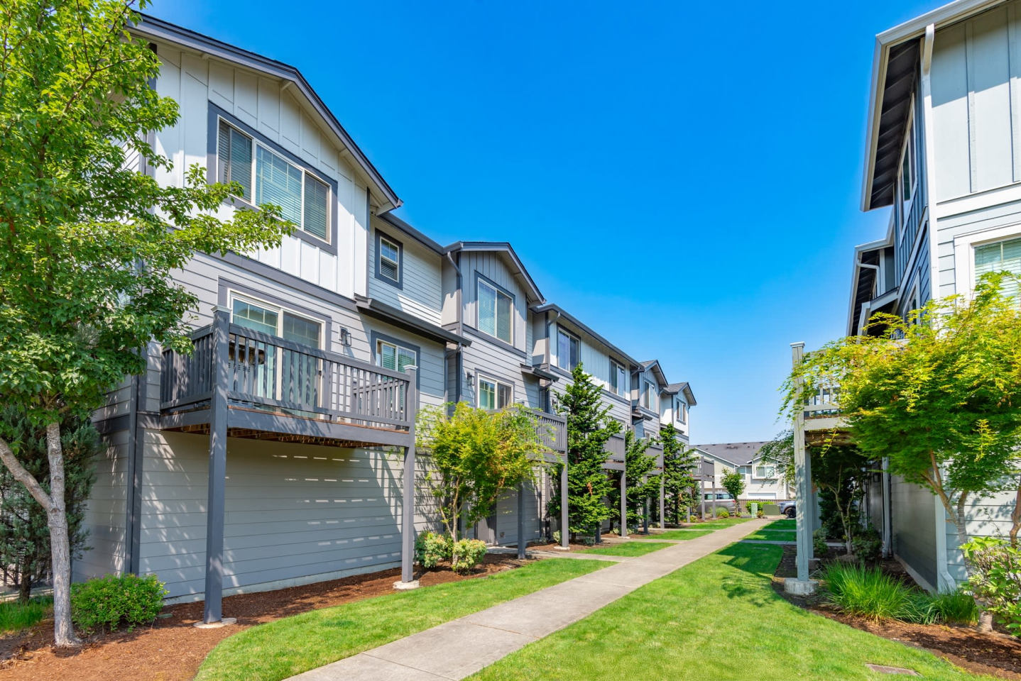 Aster Townhomes Image 5