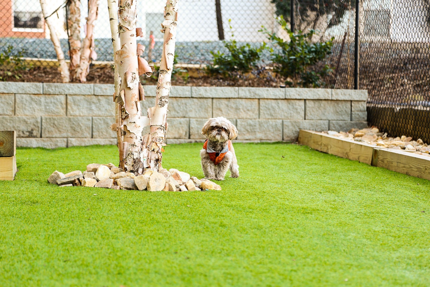 Greenside Image 32