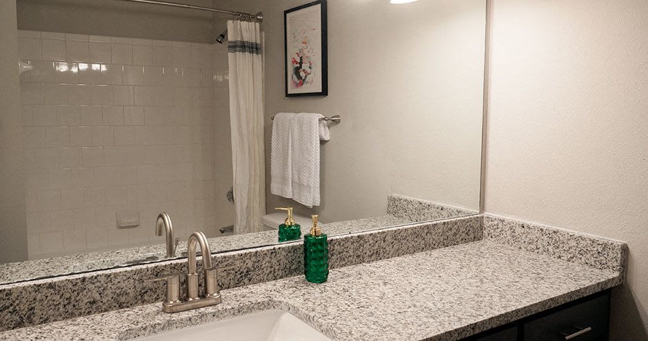 Estates at Vista Ridge Image 19