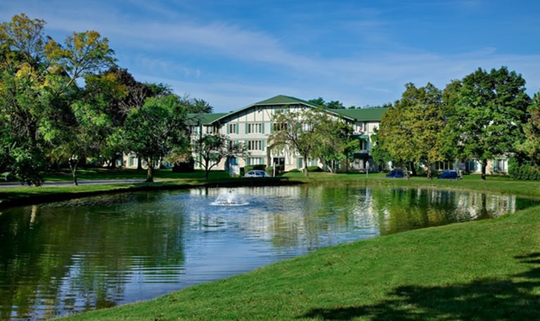 International Village - Lombard Image 27