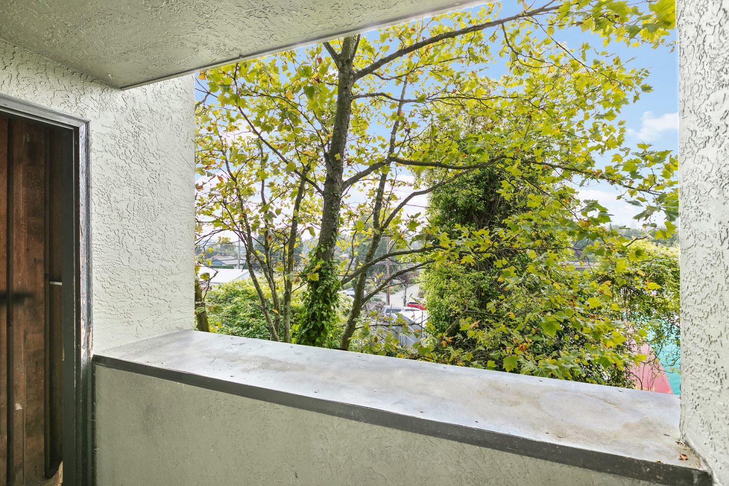 West Seattle Flats Image 12