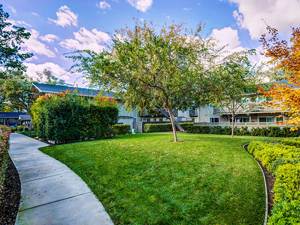 The Markham Apartments Image 13
