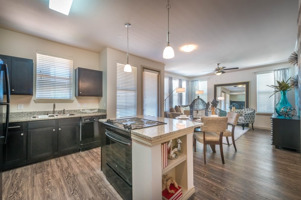 Paladin Apartments Image 13