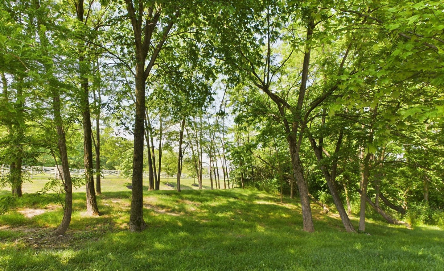 Legacy Park Image 21