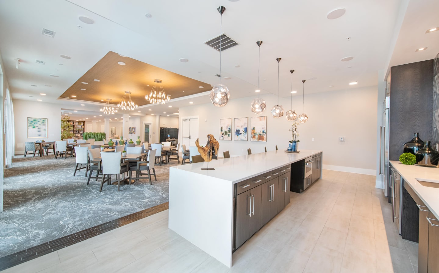 Overture Chapel Hill 55+ Active Adult Apartment Homes Image 9