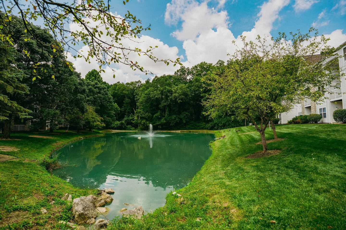 Blendon Woods Luxury Apartments Image 18