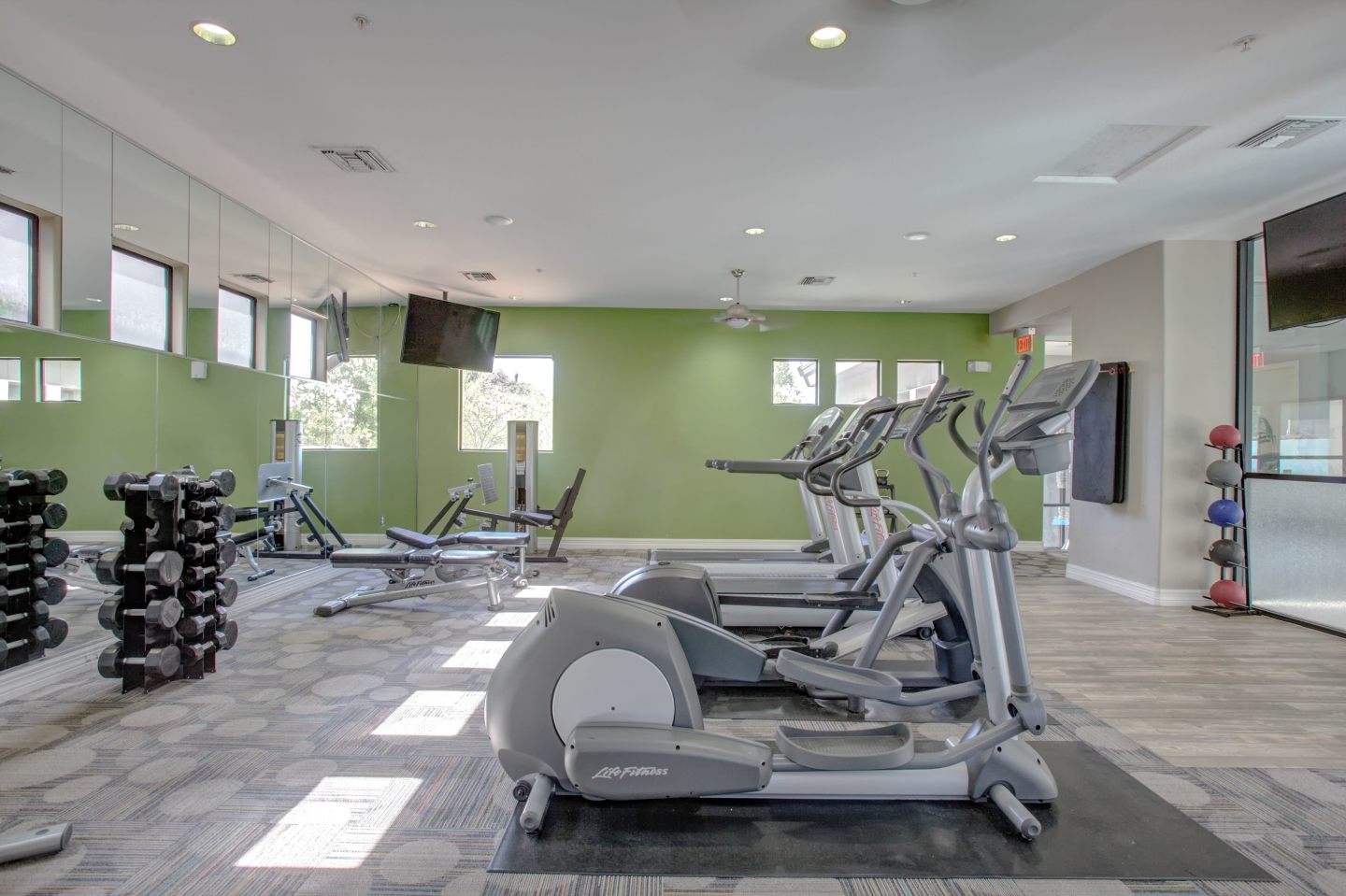 Monte Viejo Image 27