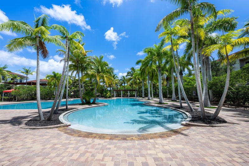 10X Sawgrass Image 4