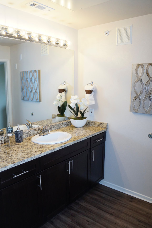 Stone Canyon Apartments Image 22