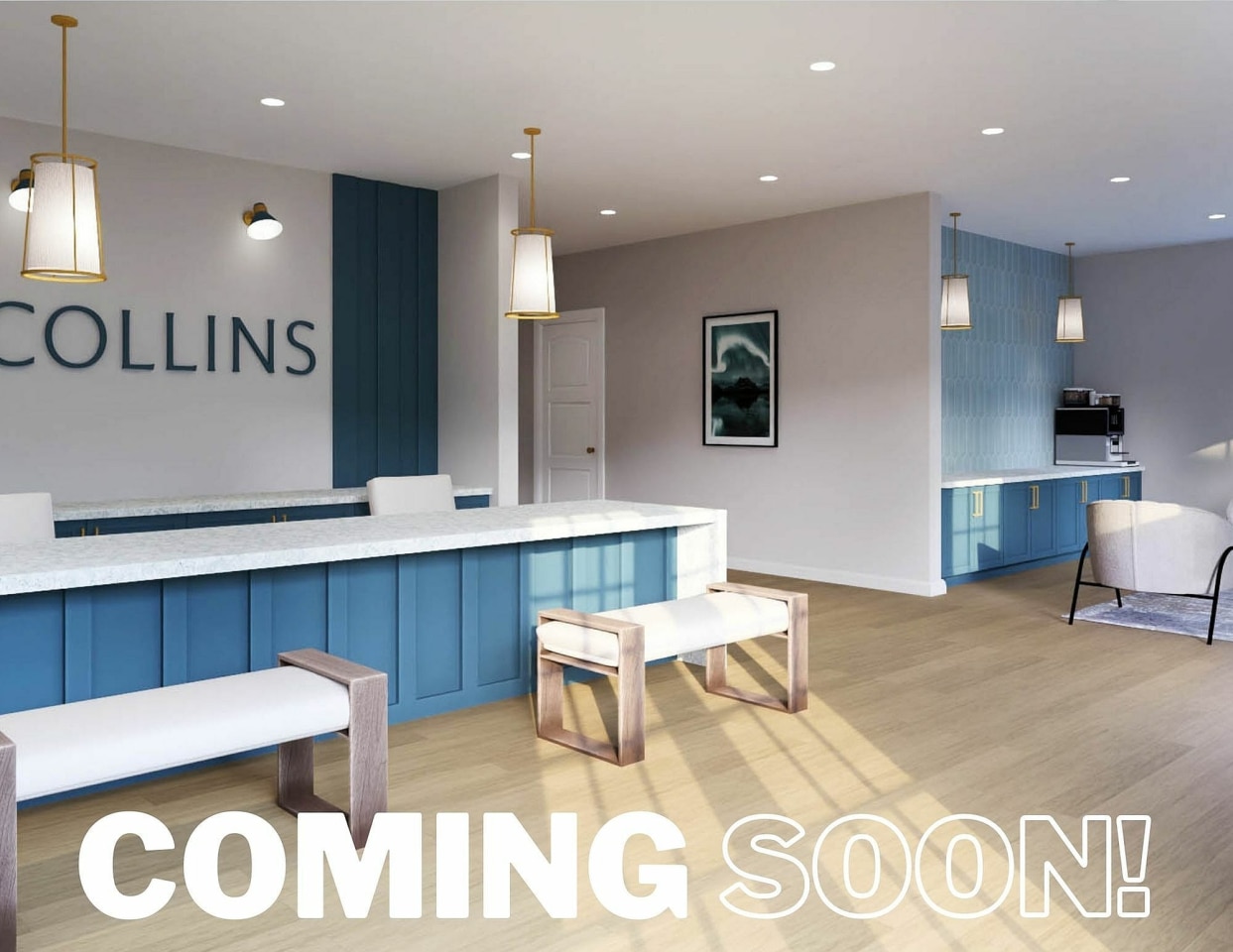 The Collins Apartment Homes Image 28