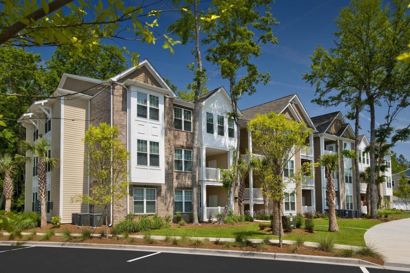Element Carolina Bay Image 51