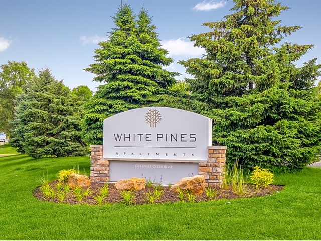 White Pines Image 25