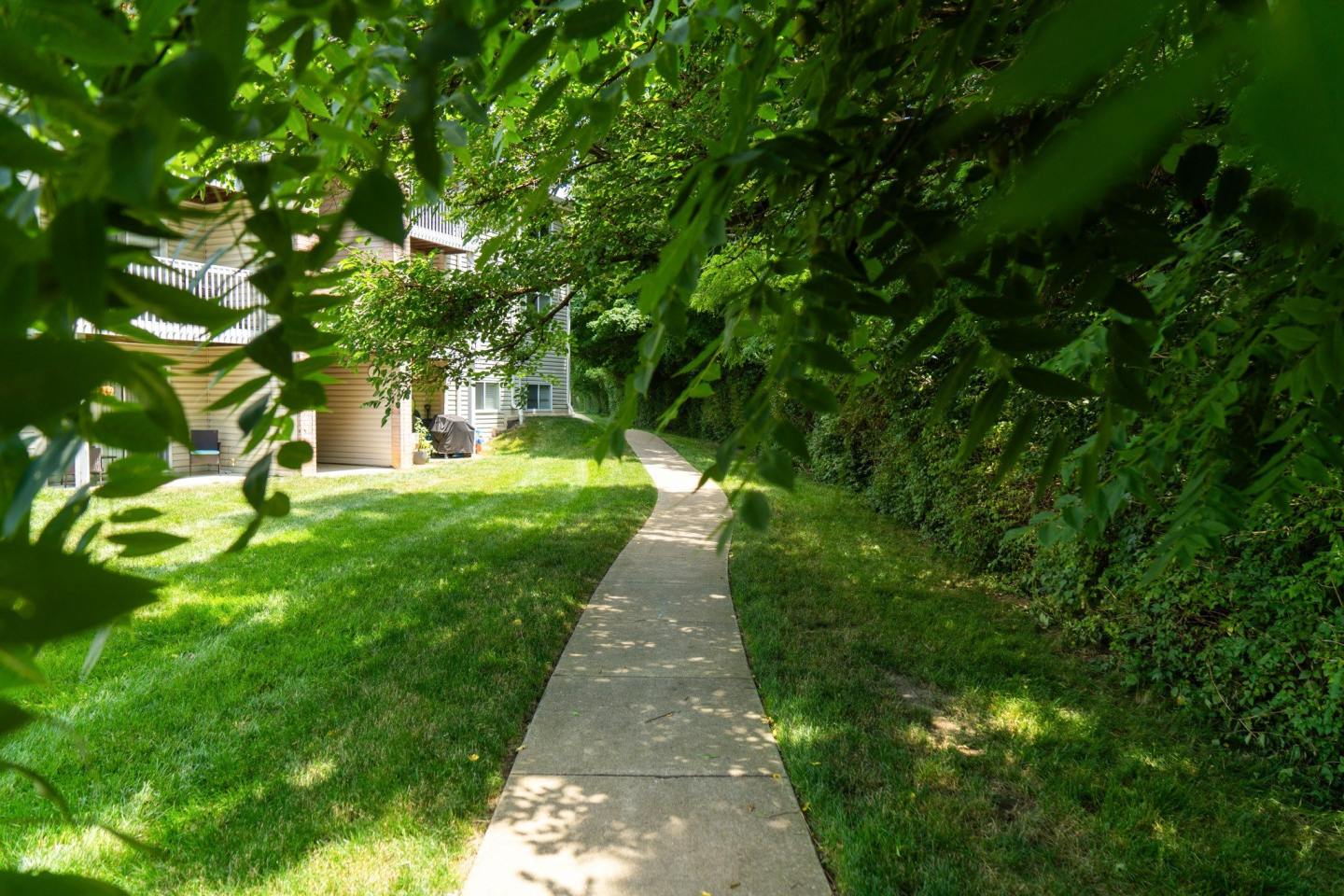 Honey Creek Image 23