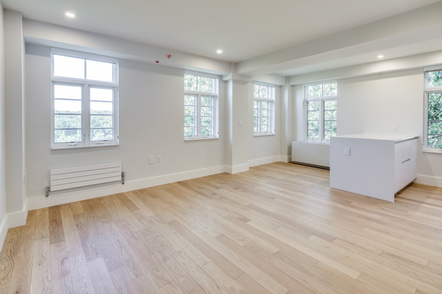 2900 Adams Mill Image 21