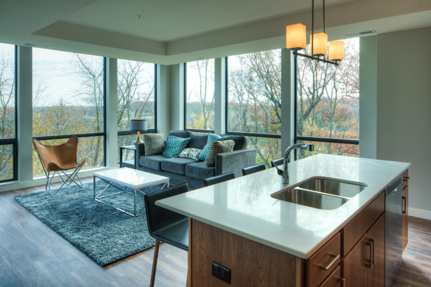 The Island Residences at Carlson Center Image 11