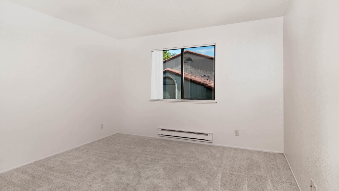 Skylark Image 20