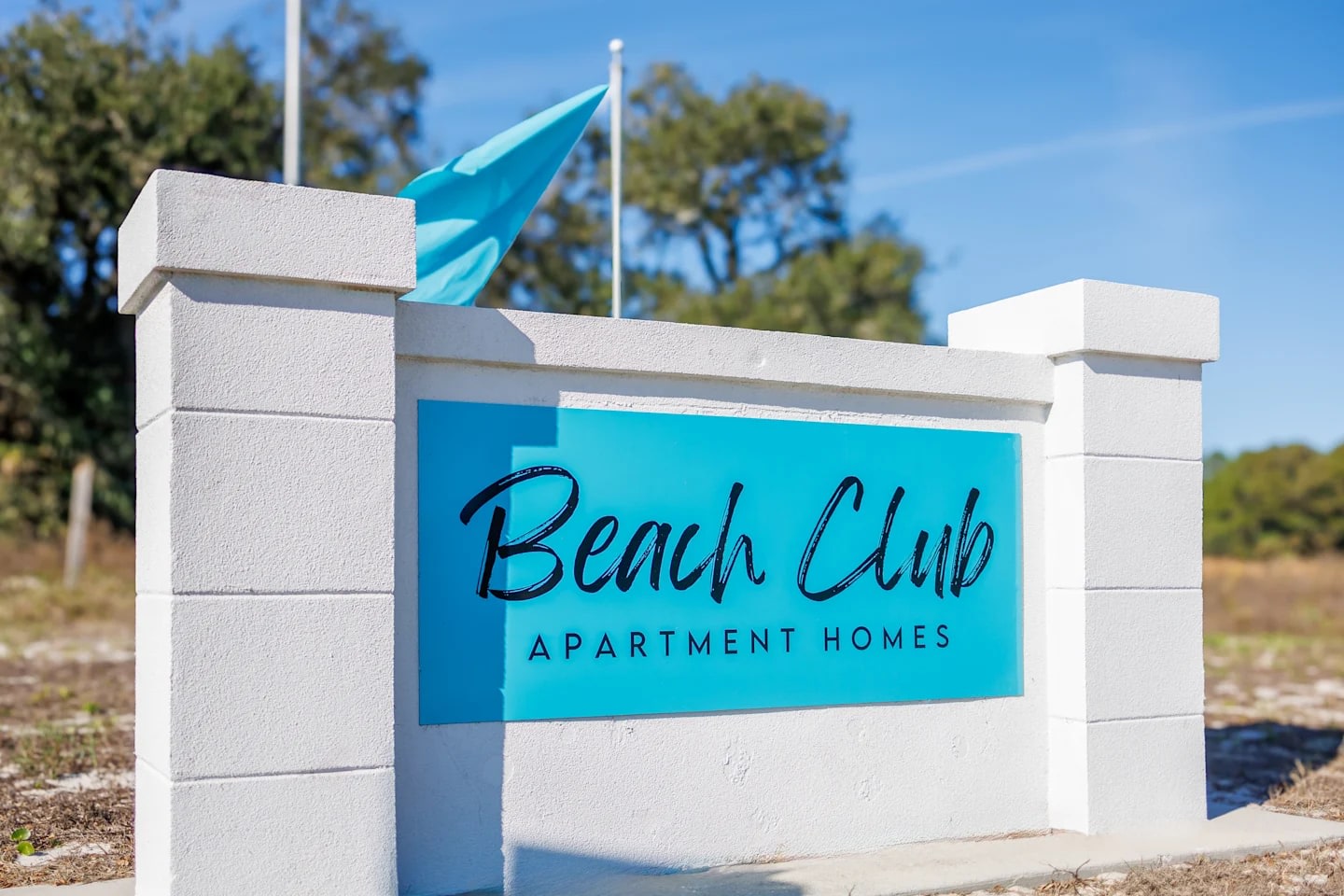 Legacy at Beach Club Image 16
