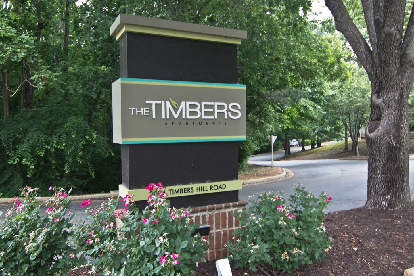 The Timbers Apartments Image 7