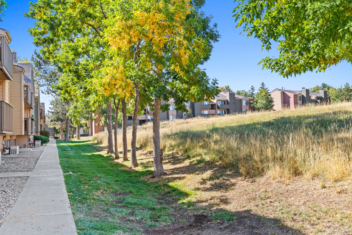 Silver Reef Apartments Image 38