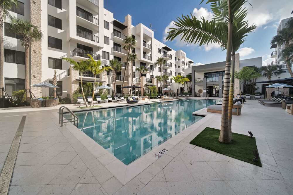 Palmera Image 14