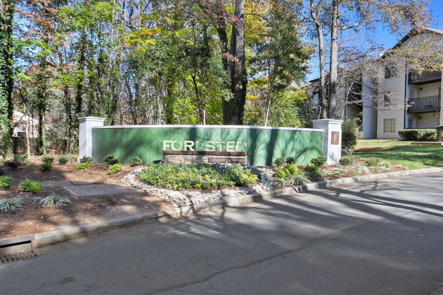 Forester Image 28