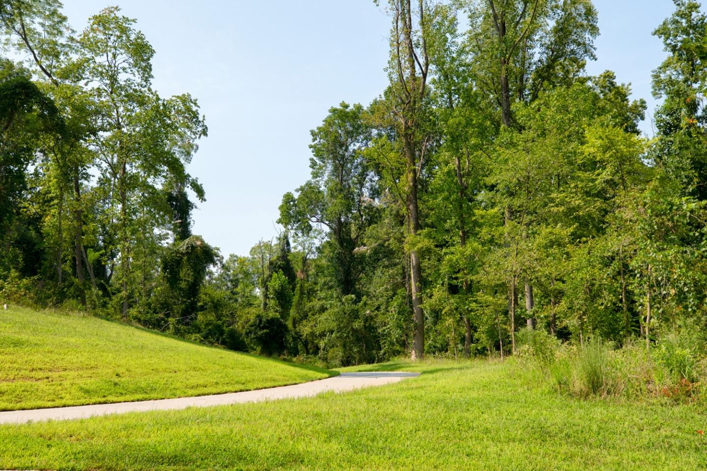 The Apartments at Dorsey Mill Image 77