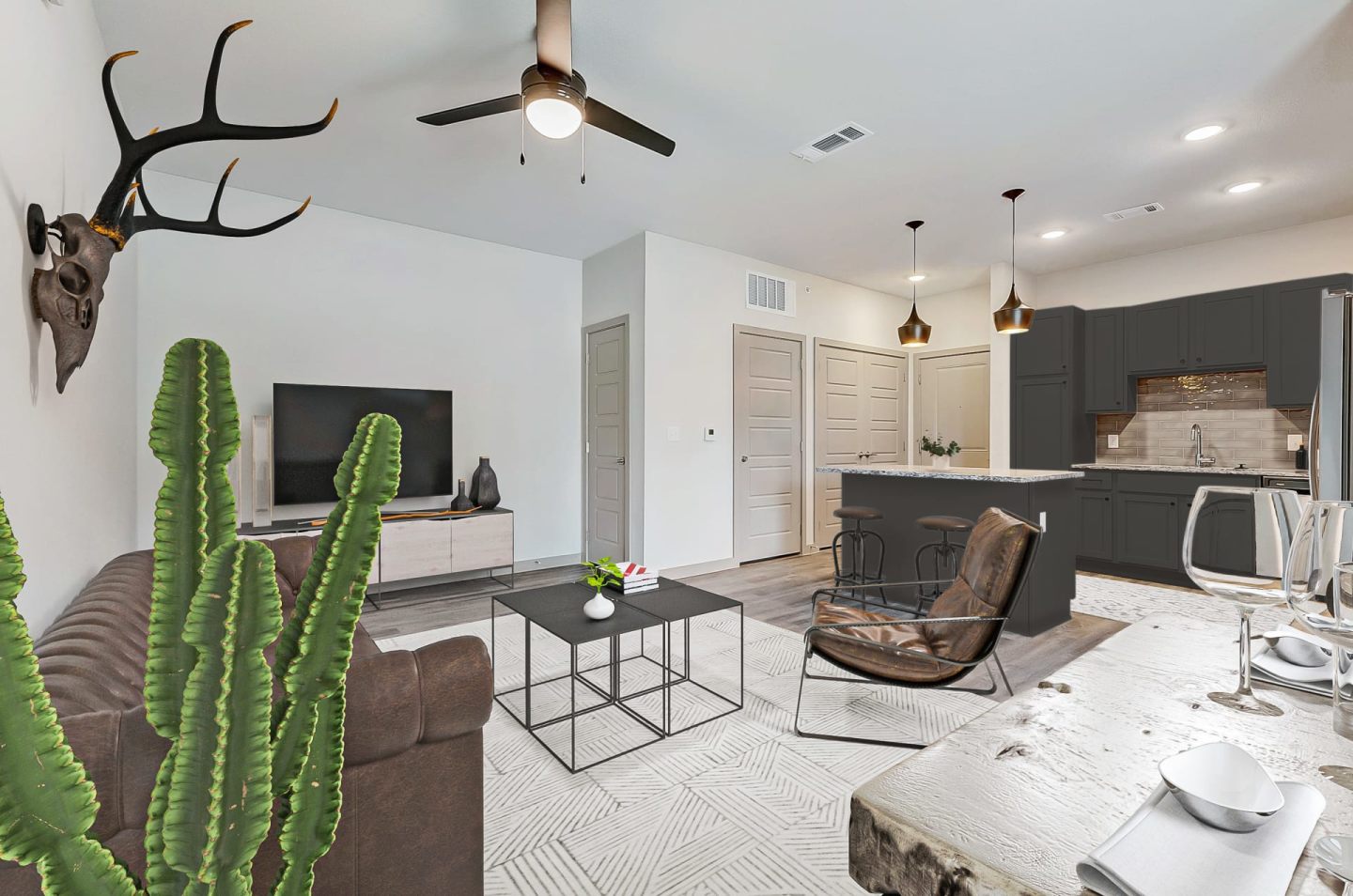 Live Oak Image 14
