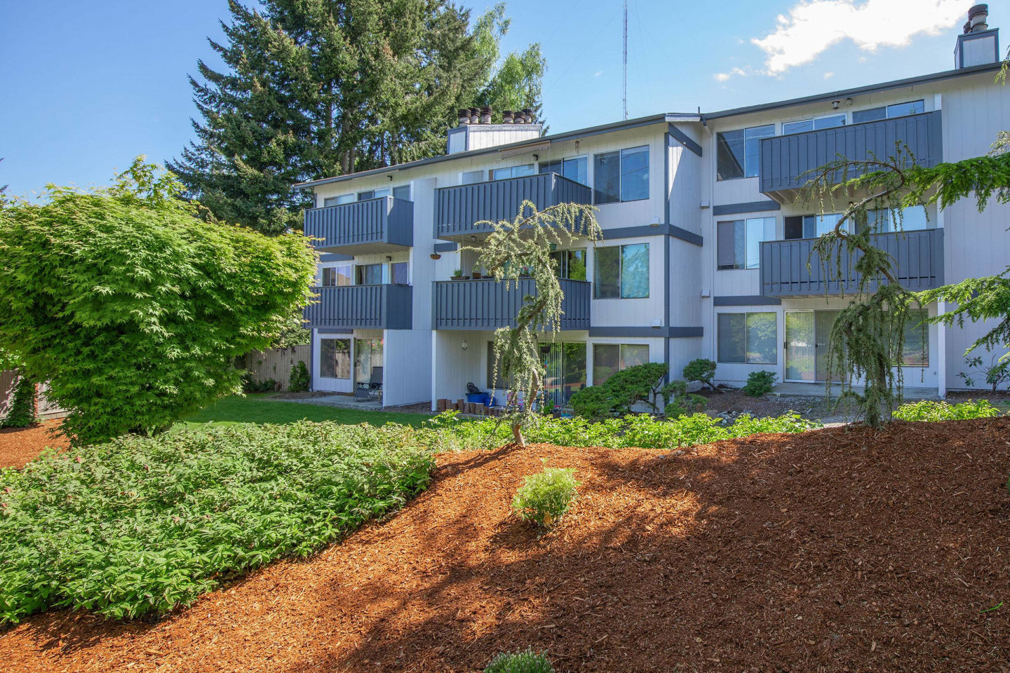 Perla Apartments Image 3