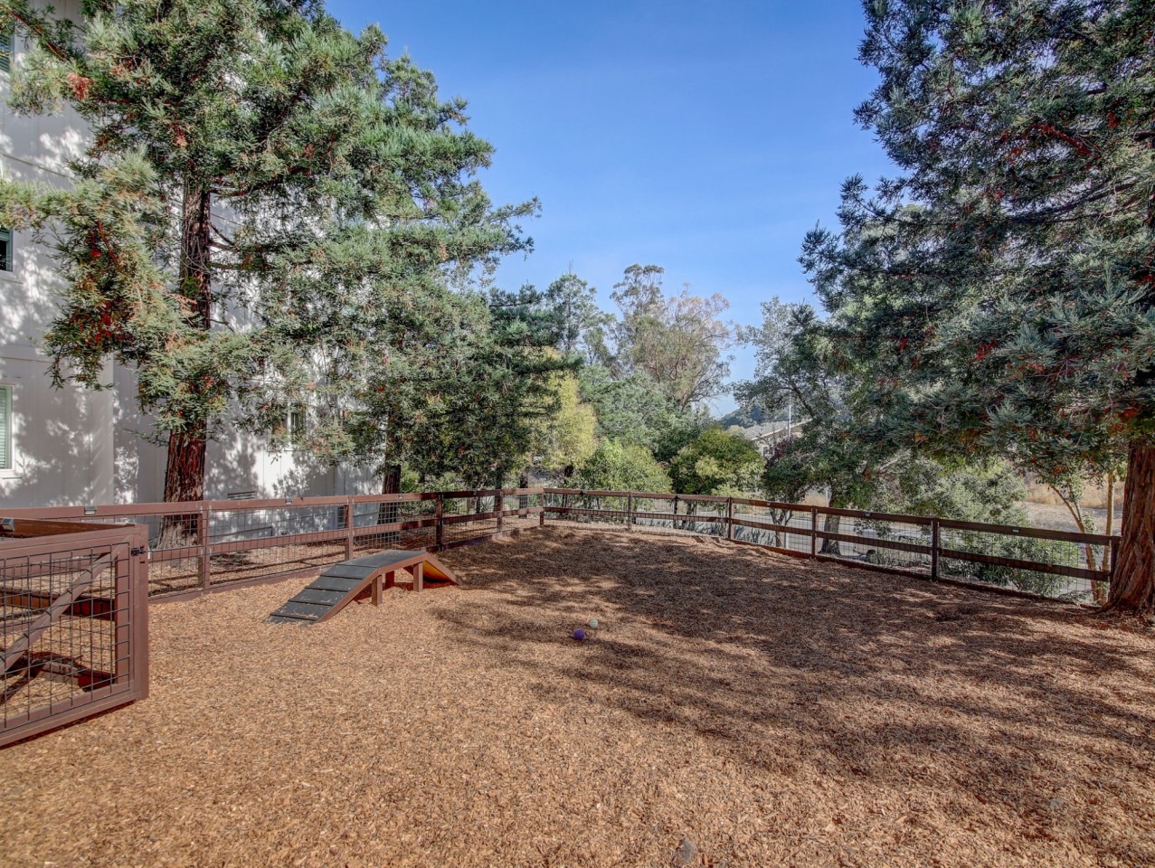 McInnis Park Image 26