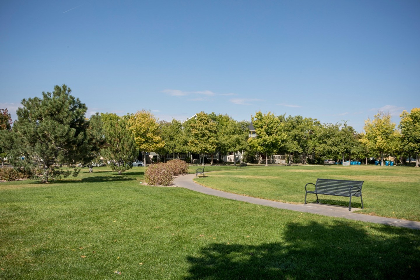 Enclave Belle Creek Apartments Image 8
