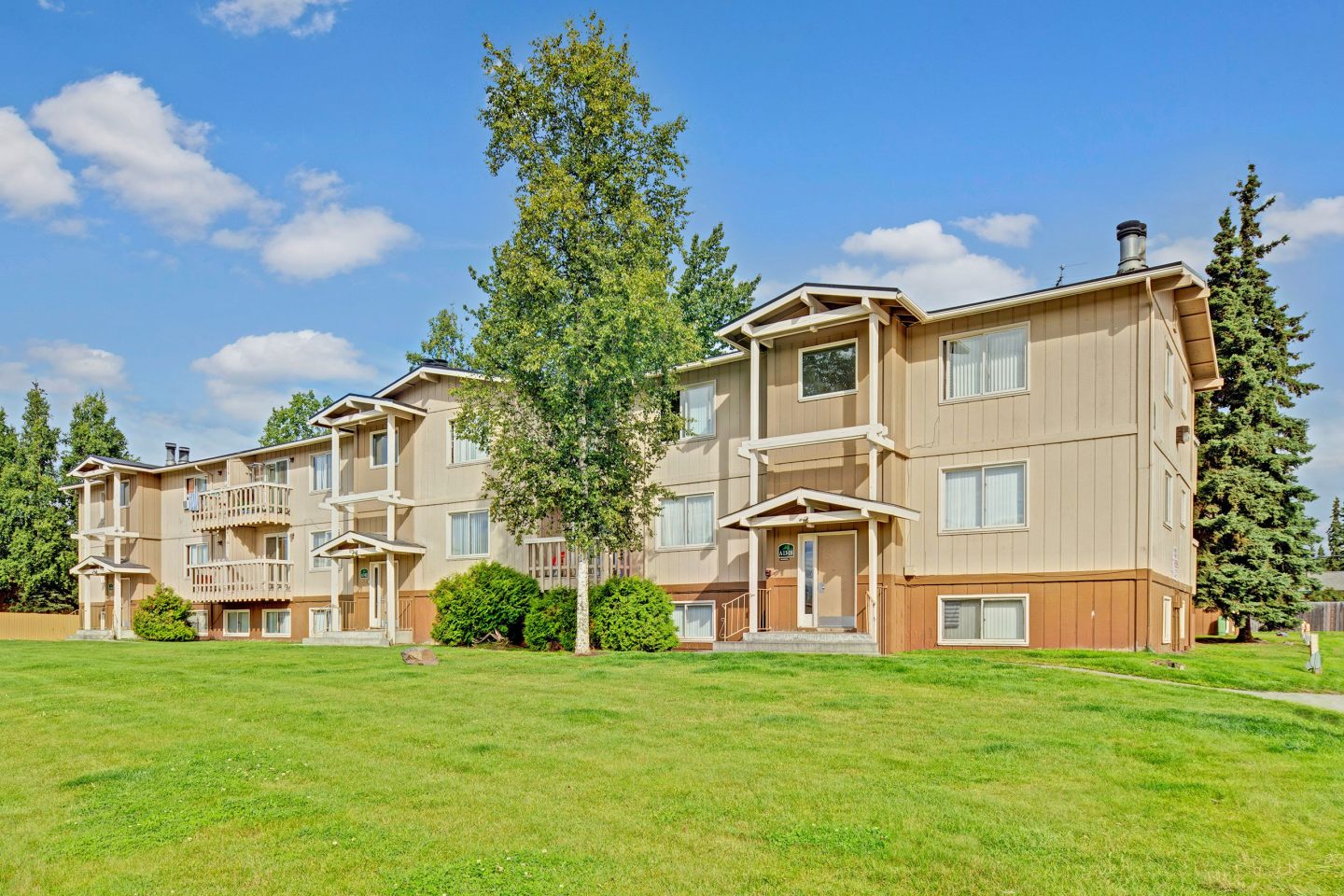 Conifer Grove Image 5