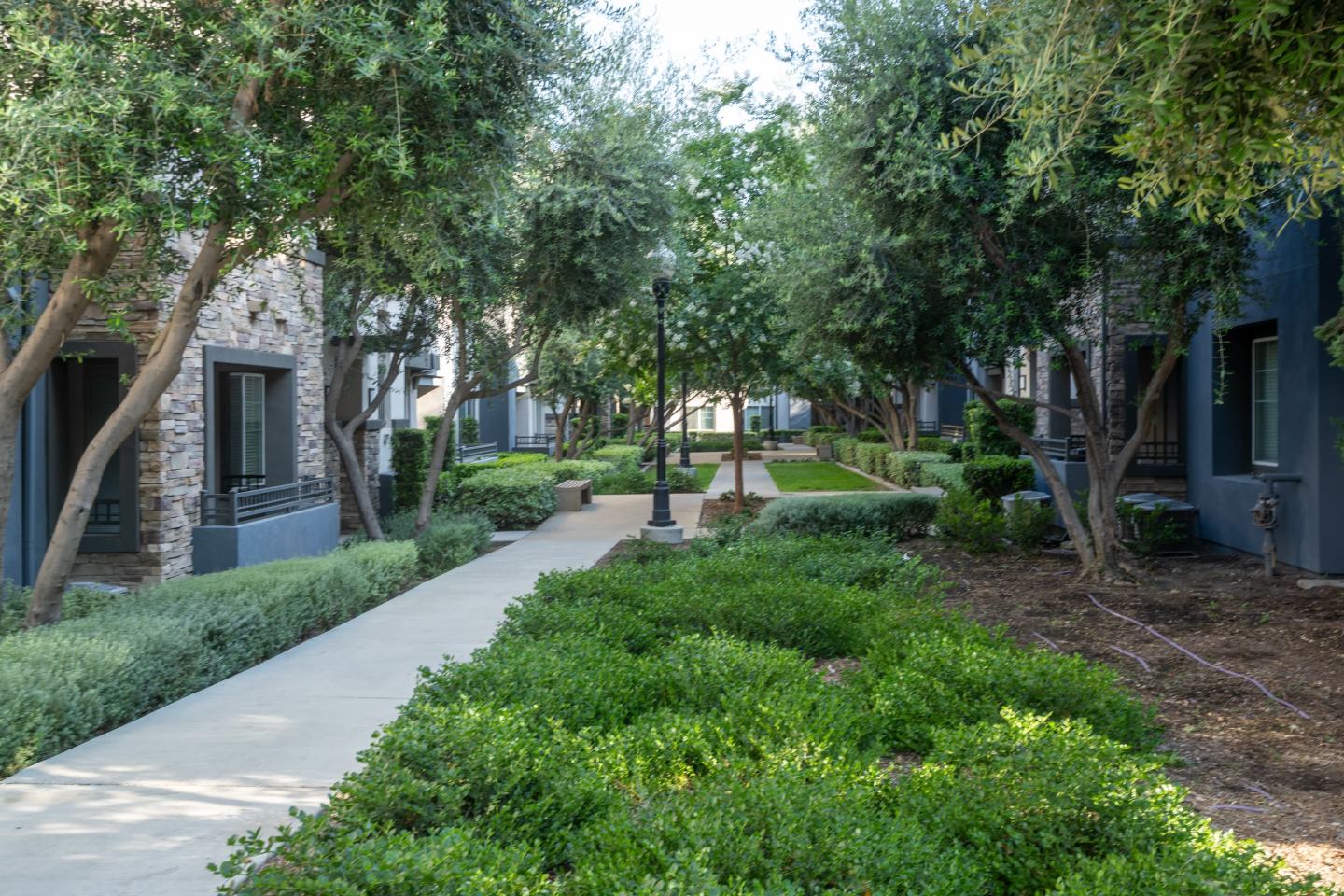The Grove Image 12