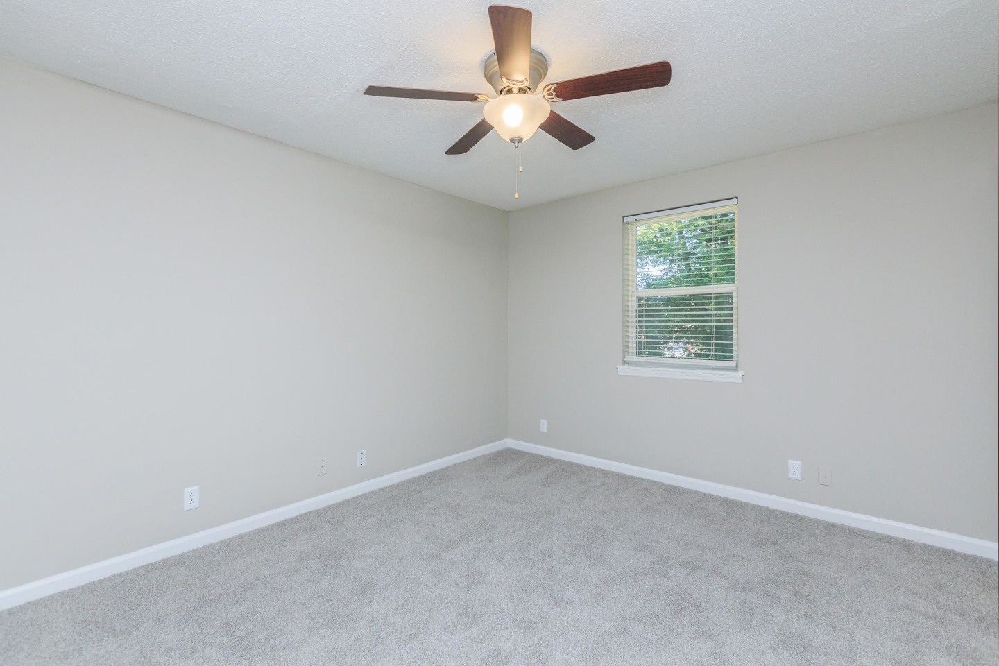 Lexington Village Image 12