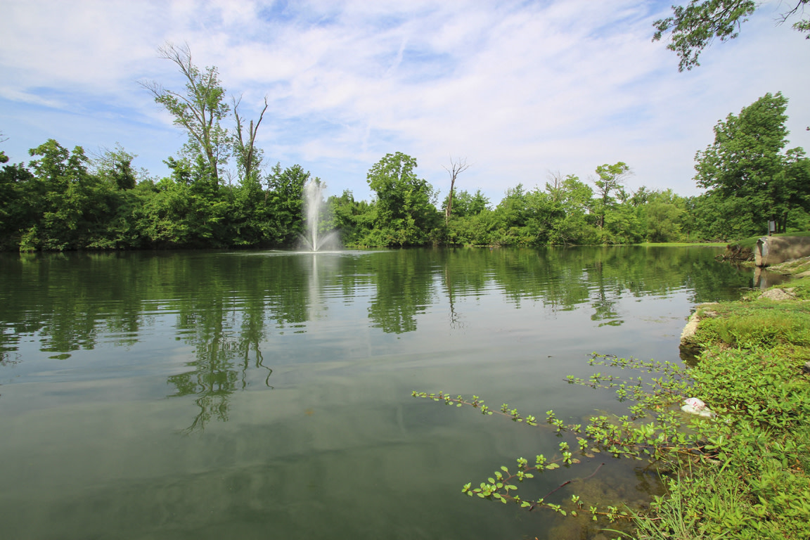 Lake of the Woods Image 15