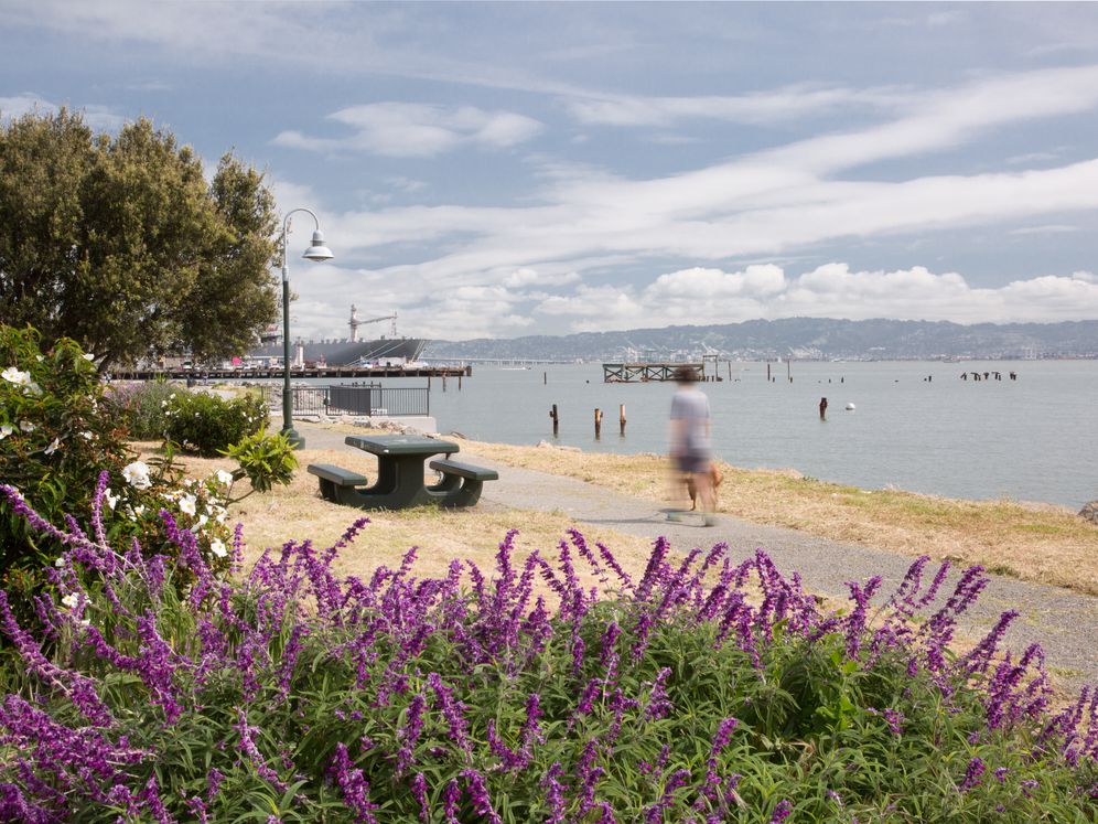 Avalon Dogpatch Image 41