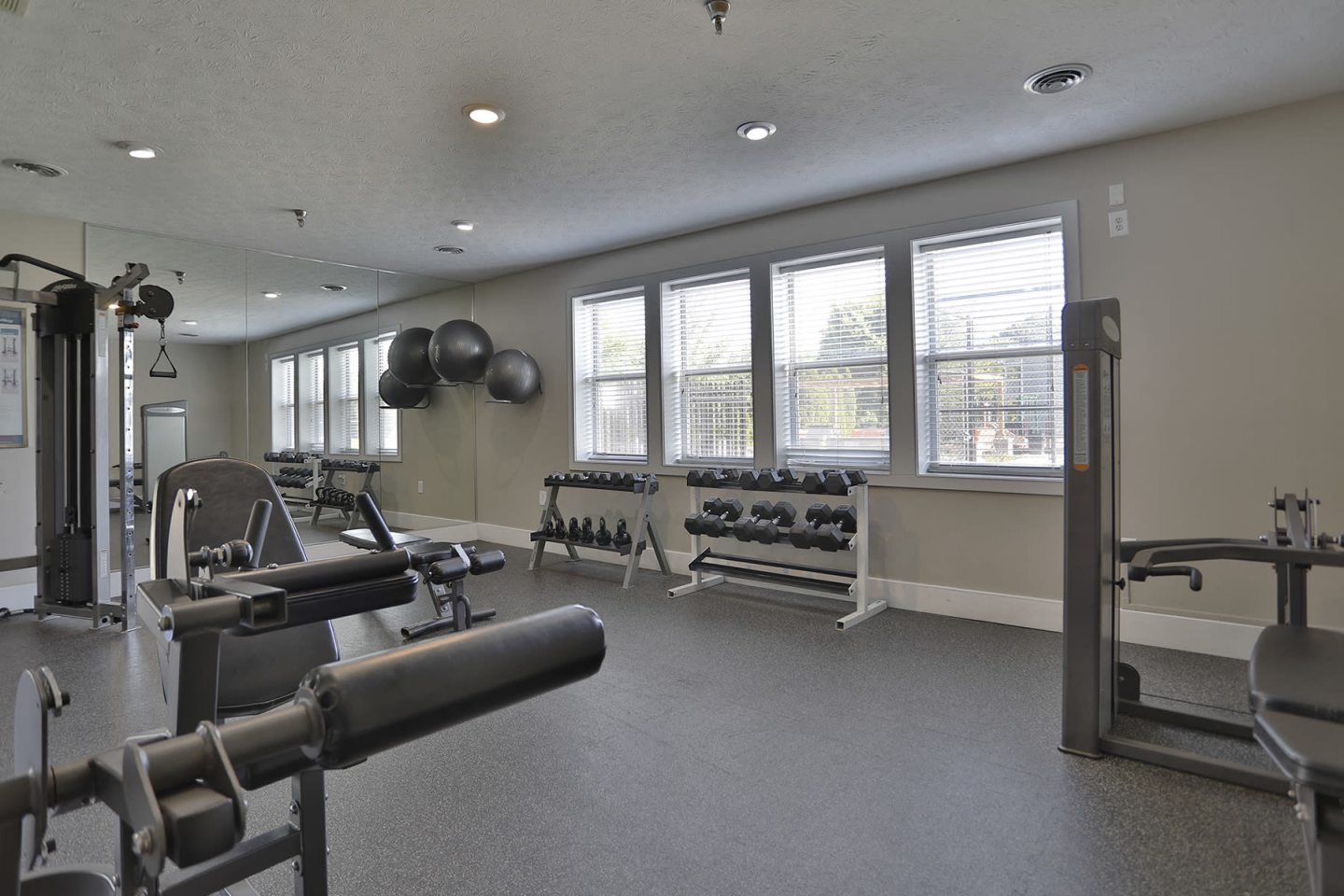 Island Club Image 16