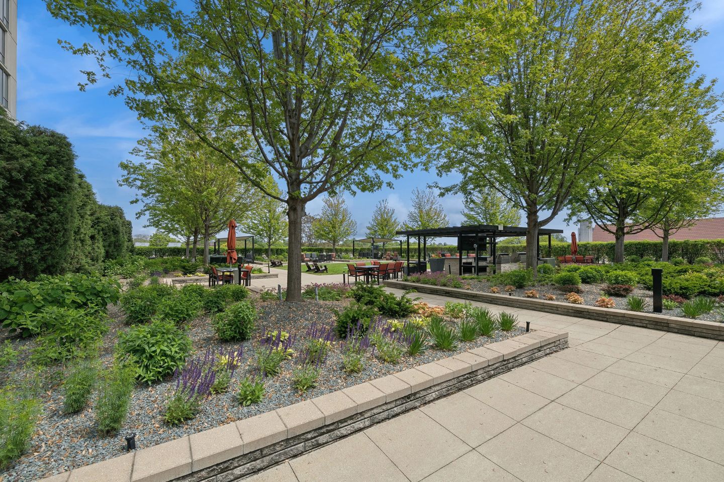 ReNew Oak Park Image 59