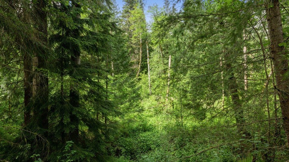 Arrive North Bend Image 37
