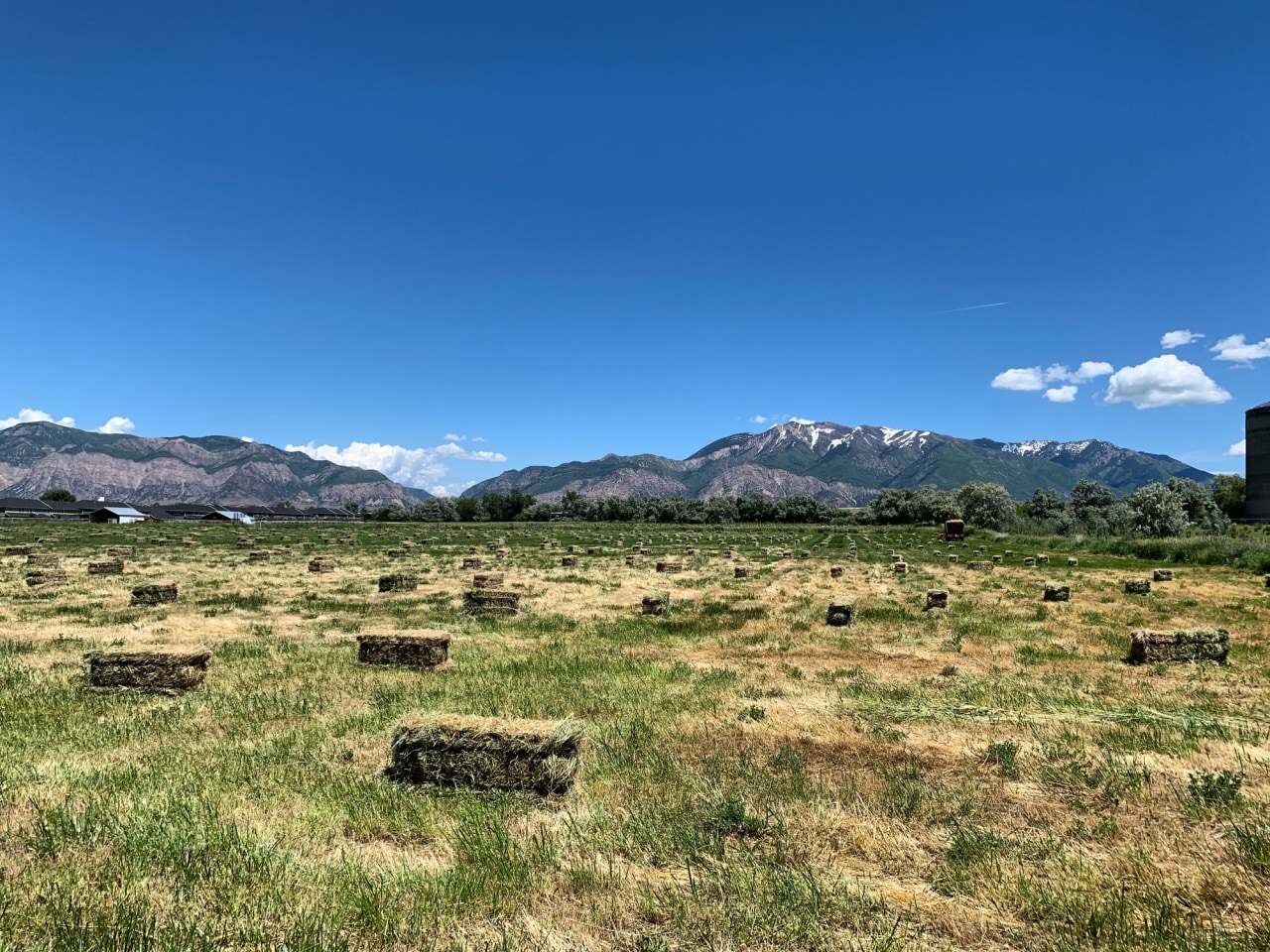 Claradon Village Image 18