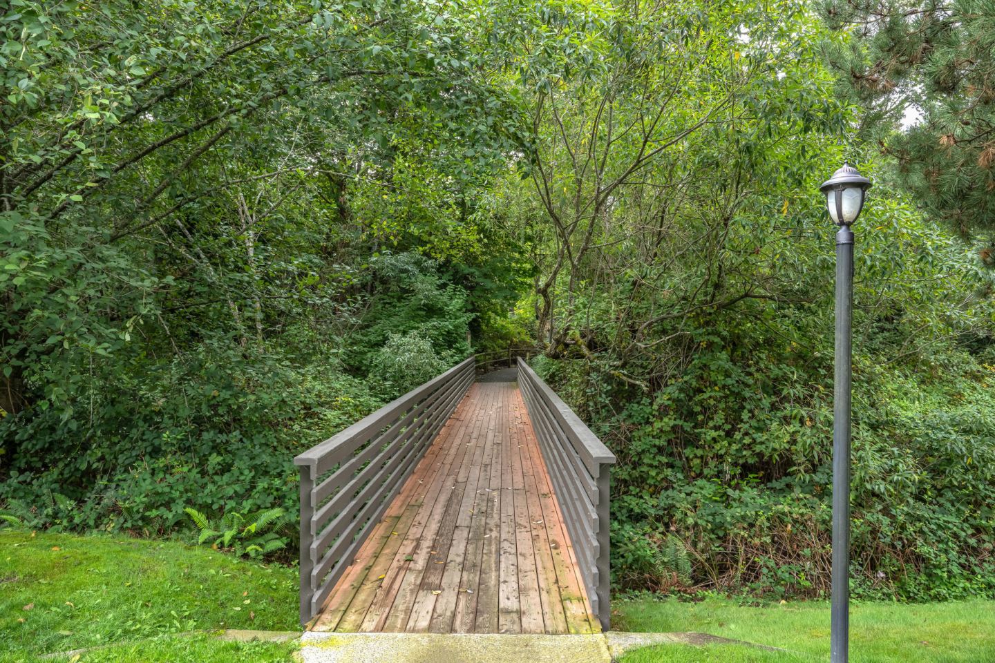 The Preserve at Forbes Creek Image 24